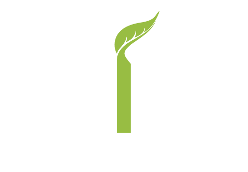 SIB