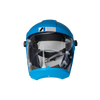 ANEST IWATA Air-Fed Full Face Mask